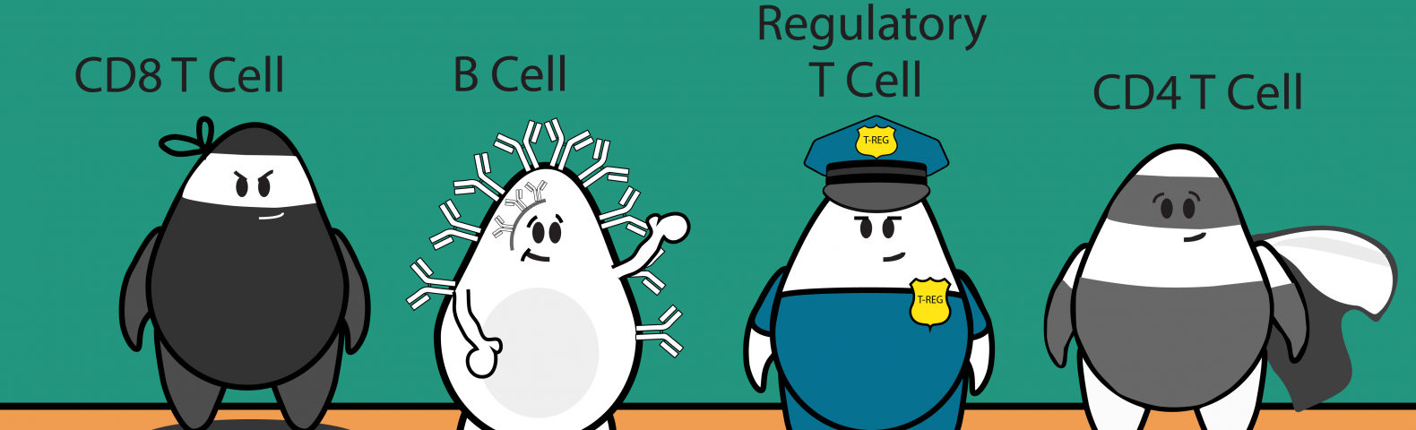 cartoon of immune cells, lymphocytes like t cells, b cells, regulatory t cells