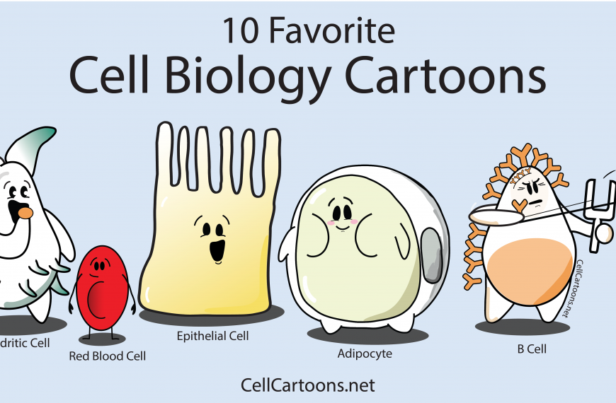 Favorite Cell Biology Cartoons