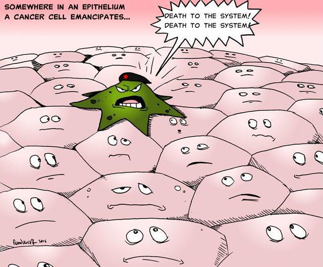 Favorite Cell Biology Cartoons – Cell Cartoons