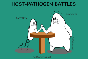 Cartoon Host-Pathogen Arm Wrestling