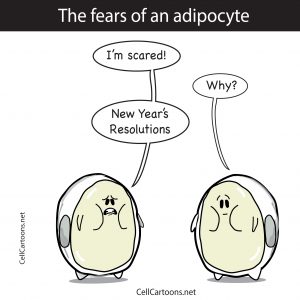 cartoon of a fat cell or adipocyte