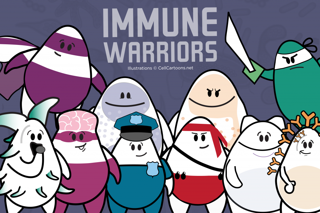 immune cell warriors such as dendritic cell, T cell, B cell, neutrophil and eosinophil