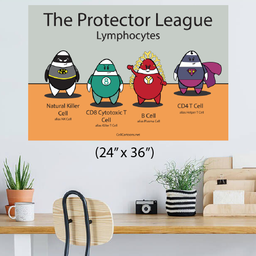 Protector League our own super heroes: natural killer (NK) cell, CD8 T cell, CD4 T cell, and B cell