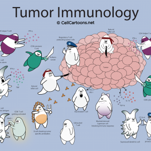 tumor immunology cartoon
