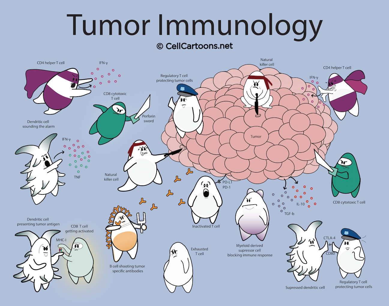 Tumor Immunology Poster – Cell Cartoons