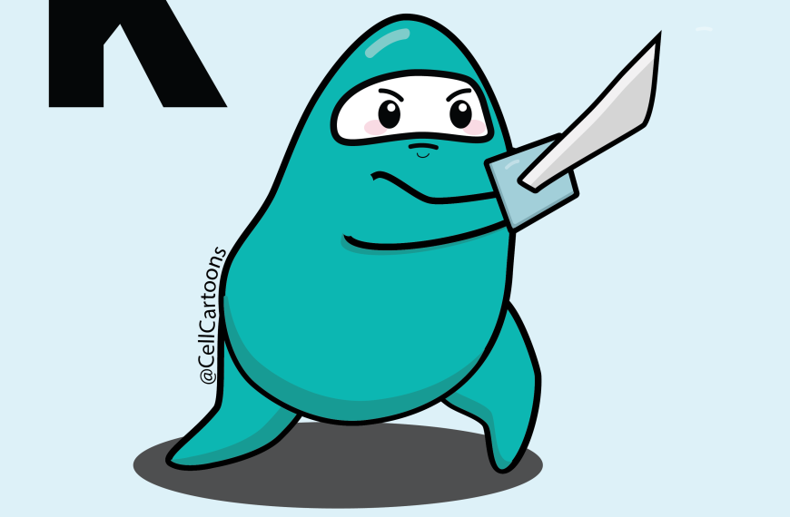 CD8 Cytotoxic Killer T cell