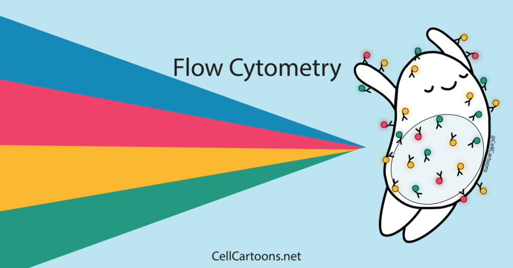 Cartoon lymphocyte, or immune cell with fluorescent antibodies for flow cytometry going with the flow
