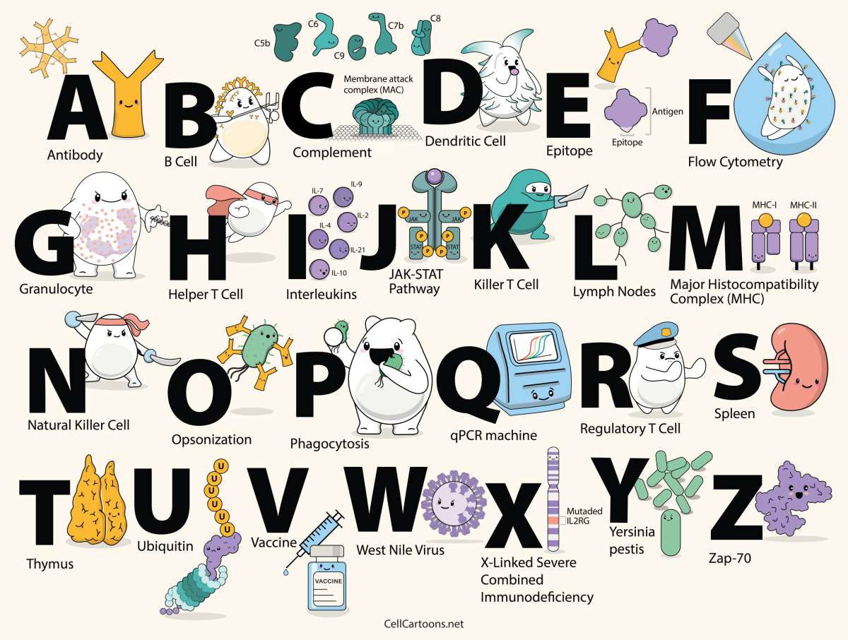 ABCs of Immunology