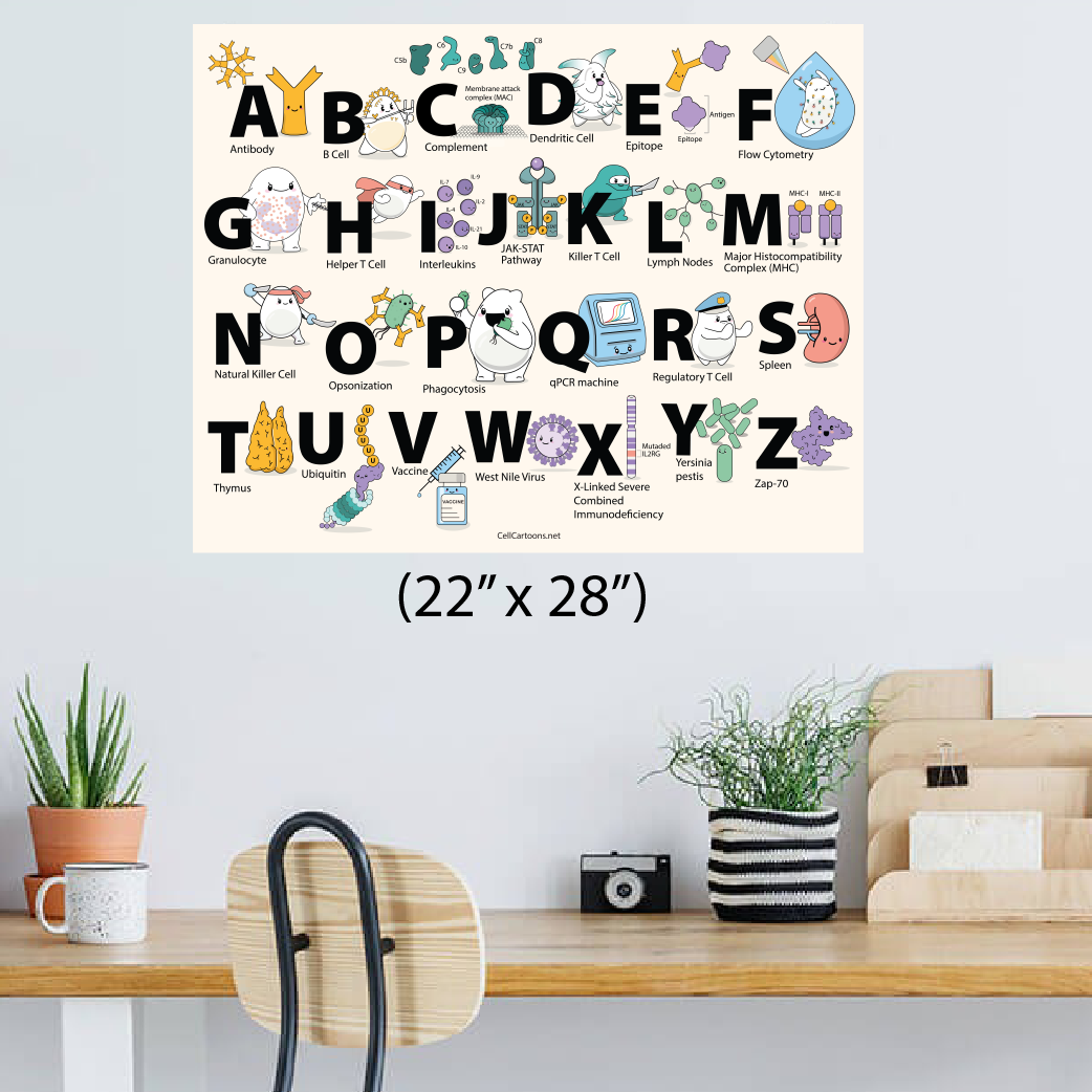 ABCs of Immunology Poster - Image 4