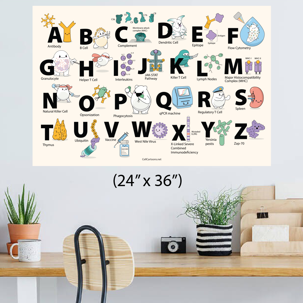 ABCs of Immunology Poster - Image 5